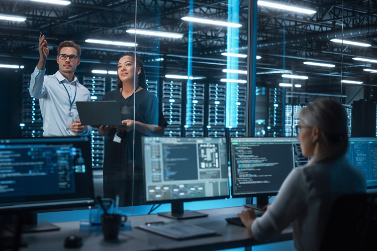 IT Products, Infrastructure & Technology Ecosystems